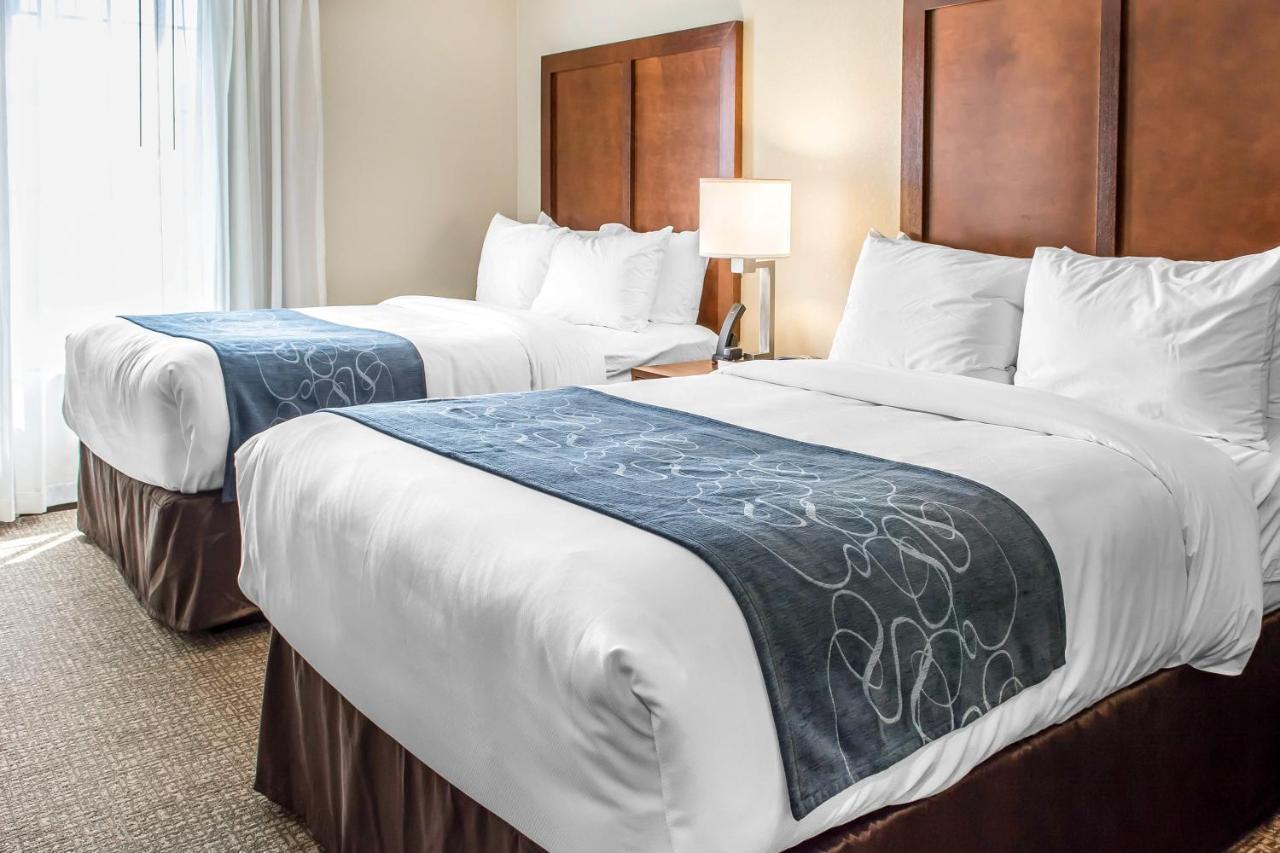 Comfort Suites Near Potomac Mills Γούντμπριτζ Εξωτερικό φωτογραφία