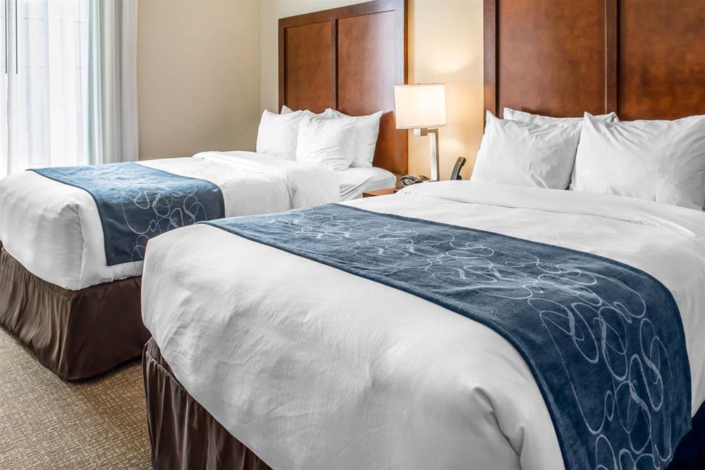 Comfort Suites Near Potomac Mills Γούντμπριτζ Εξωτερικό φωτογραφία